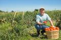 the image to "farmer" in Polish