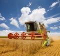 the image to "agriculture" in Polish