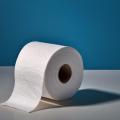 the image to "a roll of toilet paper" in Polish