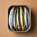 the image to "a tin of sardines" in Polish