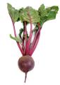 the image to "beetroot" in Polish