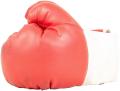 the image to "boxing glove" in Polish