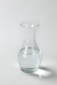 the image to "carafe" in Polish