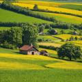 the image to "countryside" in Polish