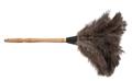 the image to "feather duster" in Polish