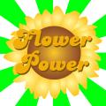 the image to "flower power" in Polish