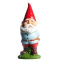 the image to "garden gnome" in Polish