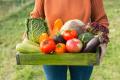 the image to "harvest" in Polish