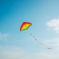 the image to "kite" in Polish