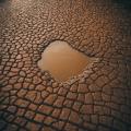 the image to "puddle" in Polish