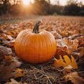 the image to "pumpkin" in Polish