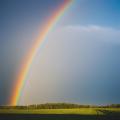 the image to "rainbow" in Polish