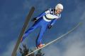 the image to "ski jumper" in Polish