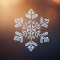 the image to "snowflake" in Polish