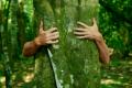 the image to "tree-hugger" in Polish