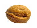 the image to "walnut" in Polish