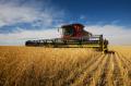 the image to "wheat harvest" in Polish