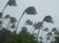 the image to "windstorm" in Polish